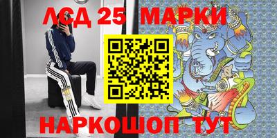 мяу мяу мука Аргун