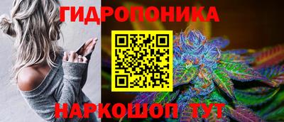 PSILOCYBIN Апшеронск