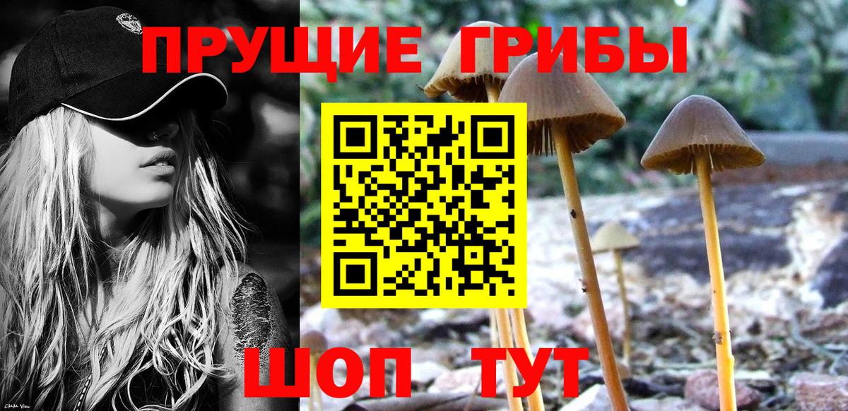 Галлюциногенные грибы мухоморы  Псилоцибиновые грибы Psilocybine cubensis  Брянск  Вход с VPN 