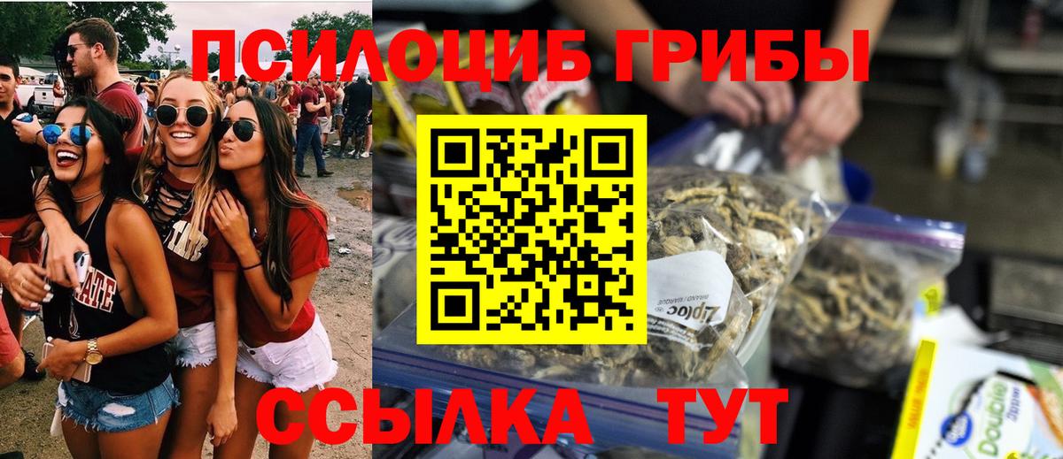 Галлюциногенные грибы GOLDEN TEACHER  Галлюциногенные грибы мицелий  Брянск 